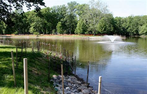 lake rehabilitation.